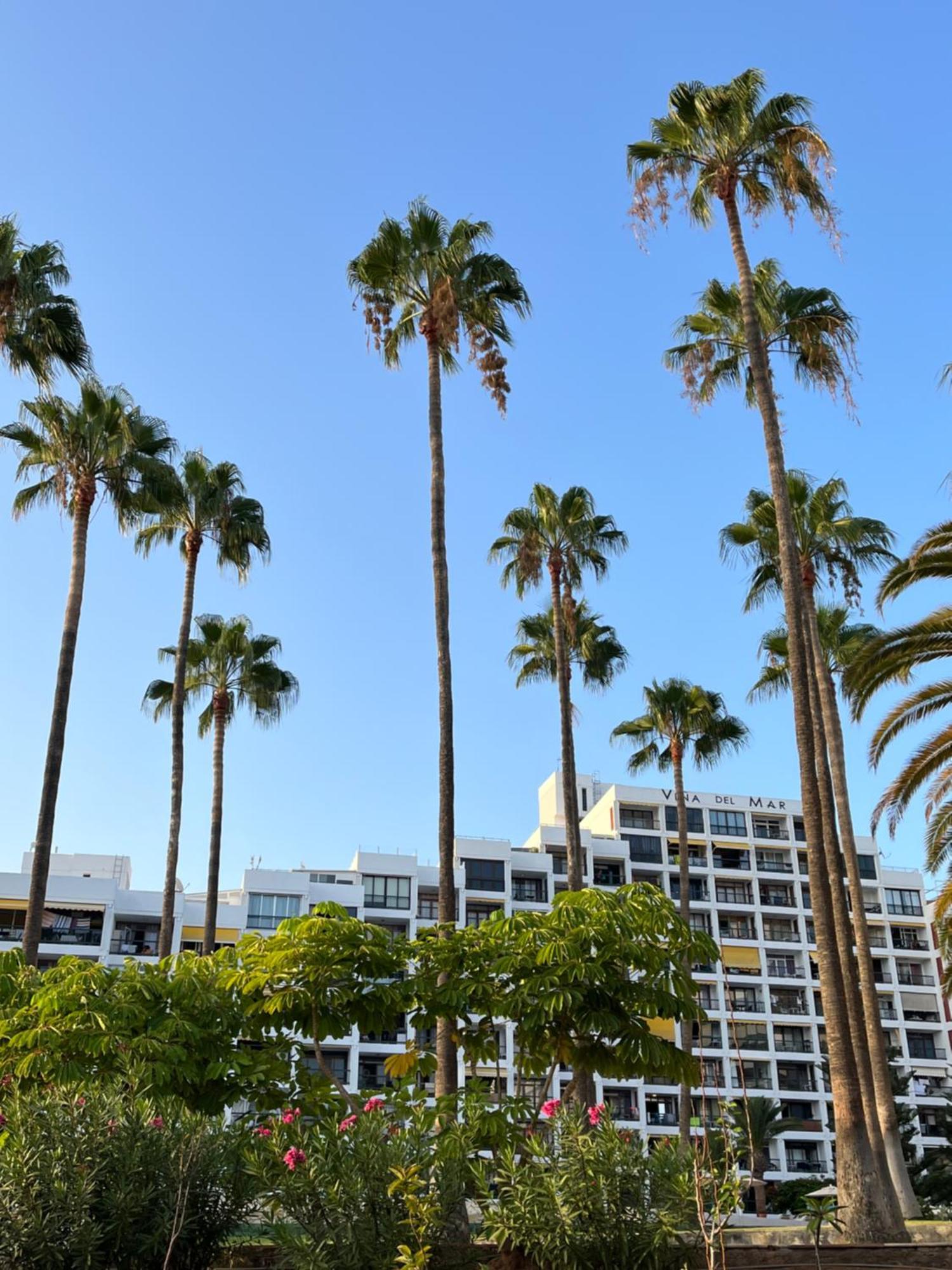 Apartamento Vina Del Mar Playa Feñabe Exterior foto